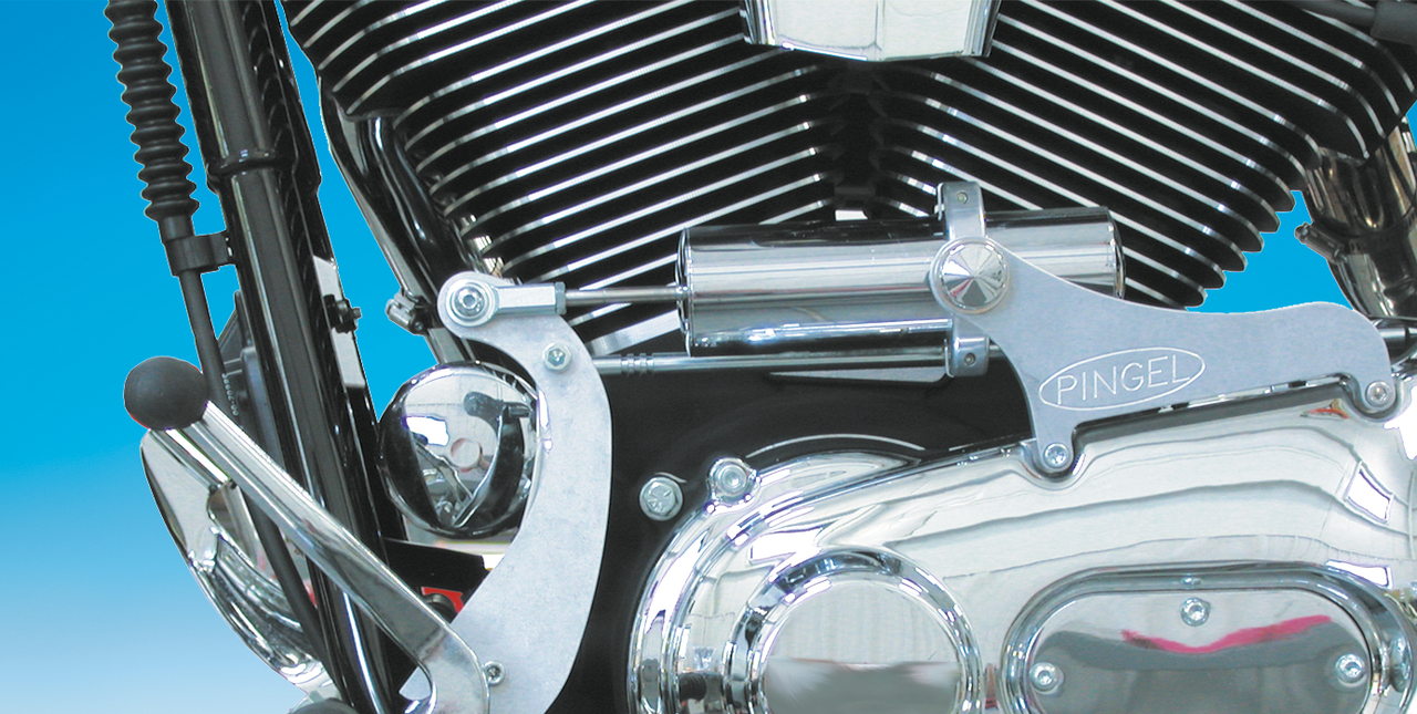 Pingel Elect.up/down shiftkit FXDWG94-02