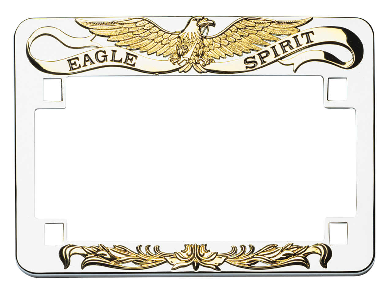GZP GO/CHR license plate frame Eagle Spi