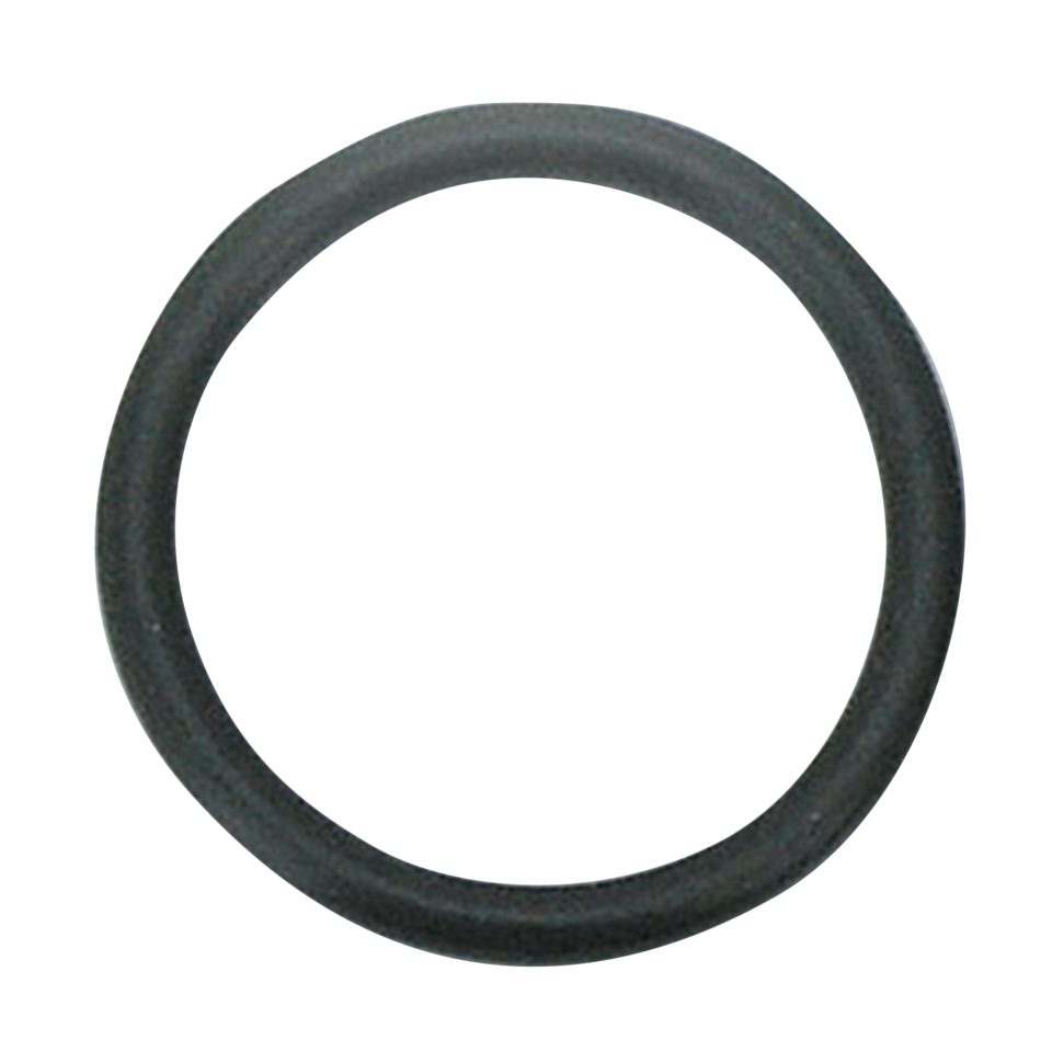 GZP 10pck Fork cap oil seal FL/FXWG