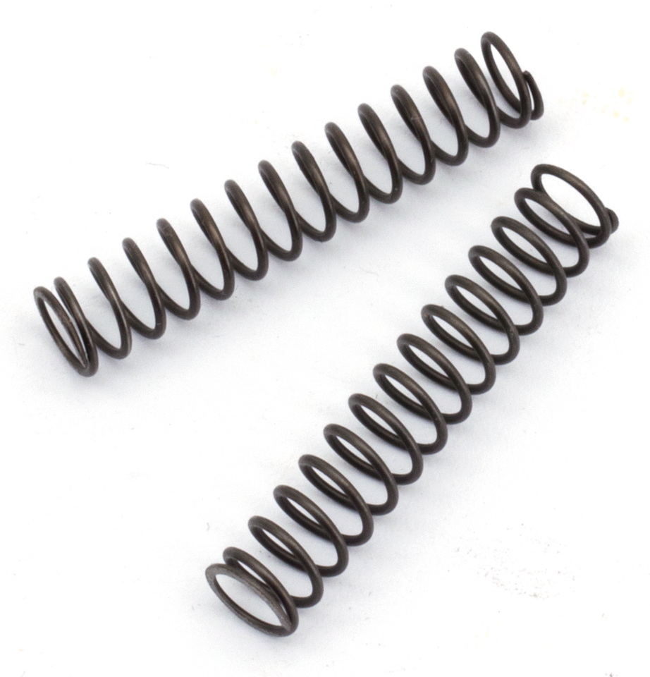Pawl spring, set of 2