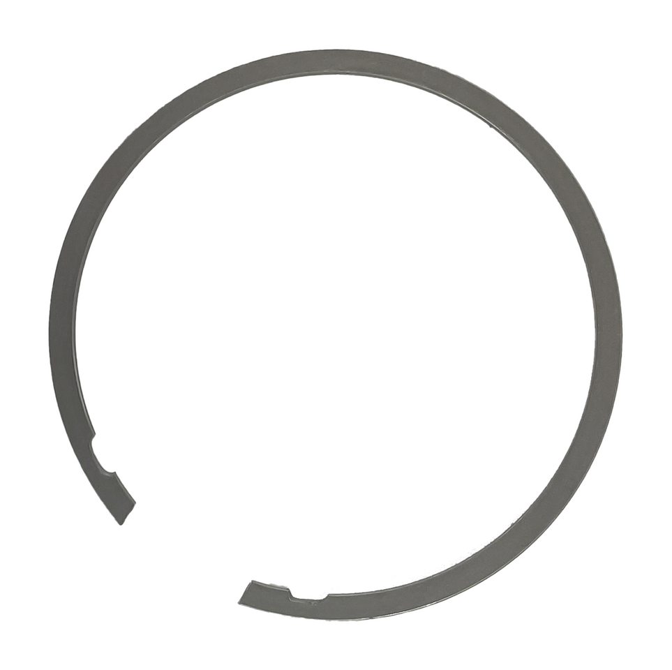 GZP Retaining ring diaphragm spring