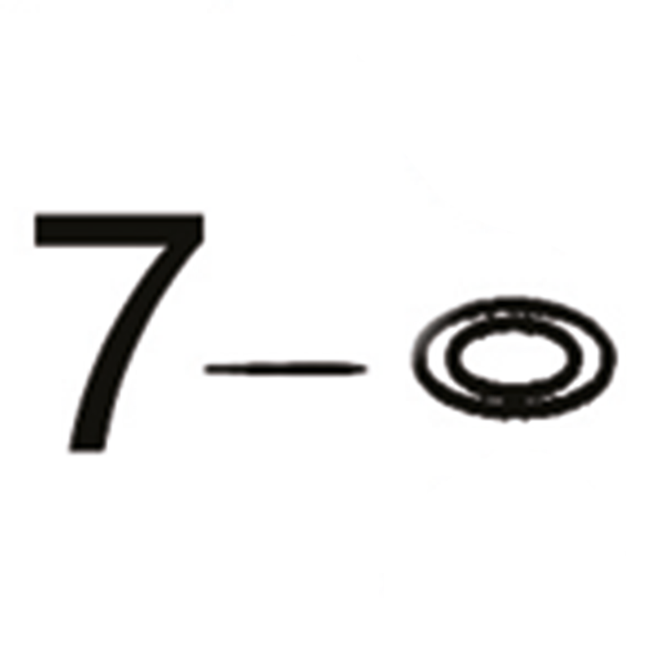 GZP 10pck O-ring drain plug engine