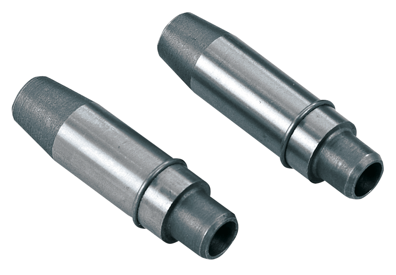 cast shouldered int.valve guide EVO .002