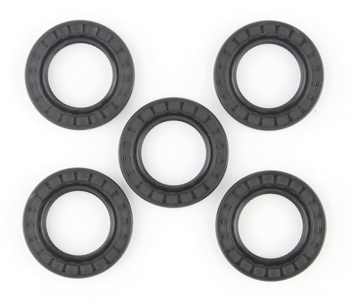 5PCK INNER CHAIN HOUSING BTl84-UP SEAL