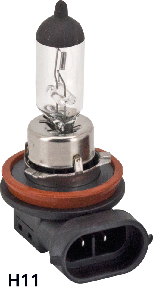 GZP 10Pck Low beam bulb H11 12V 55W