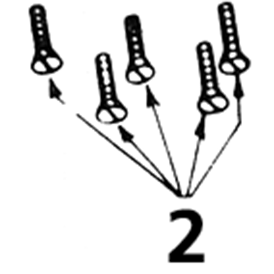 Transmission side cover screws 45CI park