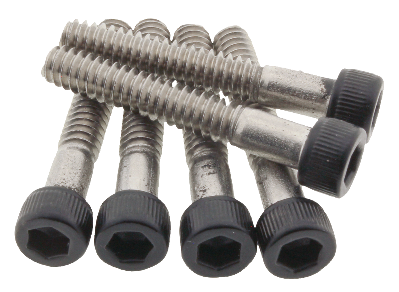 Fuel Cap Bolts Matt Blk 1250RH21-Up