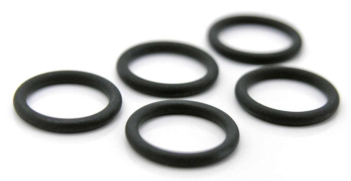 F-T 5Pck Fuel Check Valve O-ring