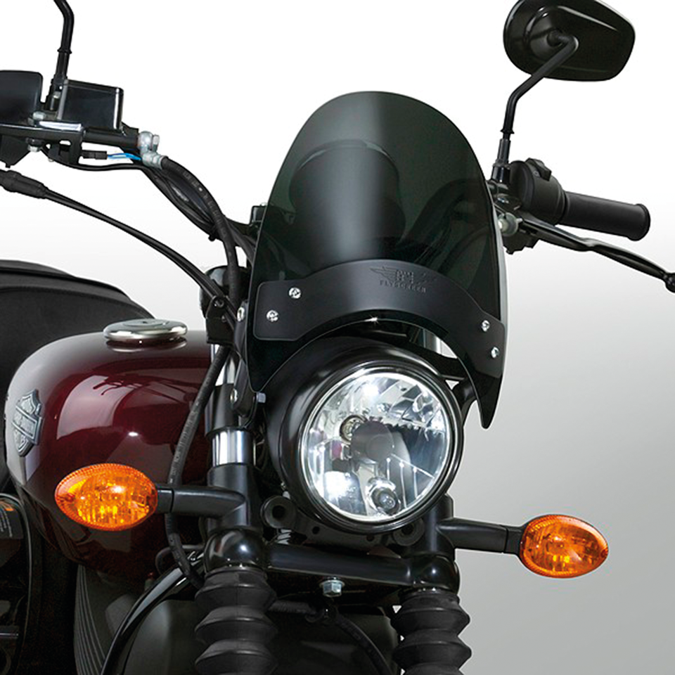 NC Flyscreen Dark Tint/Black Hardware