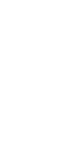 GZP Classic 5.75" black&bronze bullet he