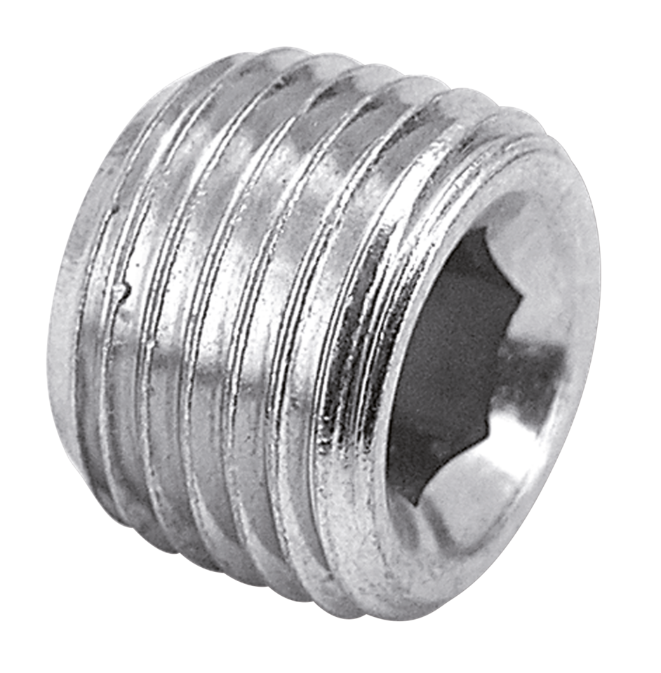 1/4" NPT plug zinc plated