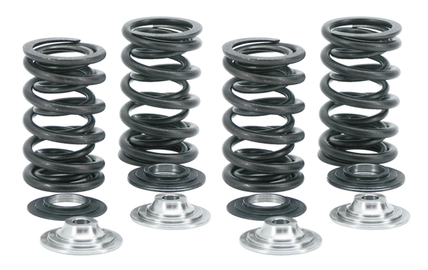 Valve Springs & Parts
