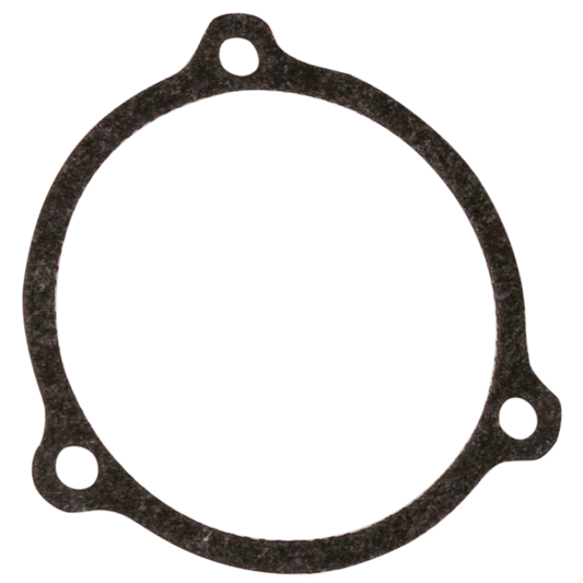 Gasket, Throttle Body, Throttle by Wire,