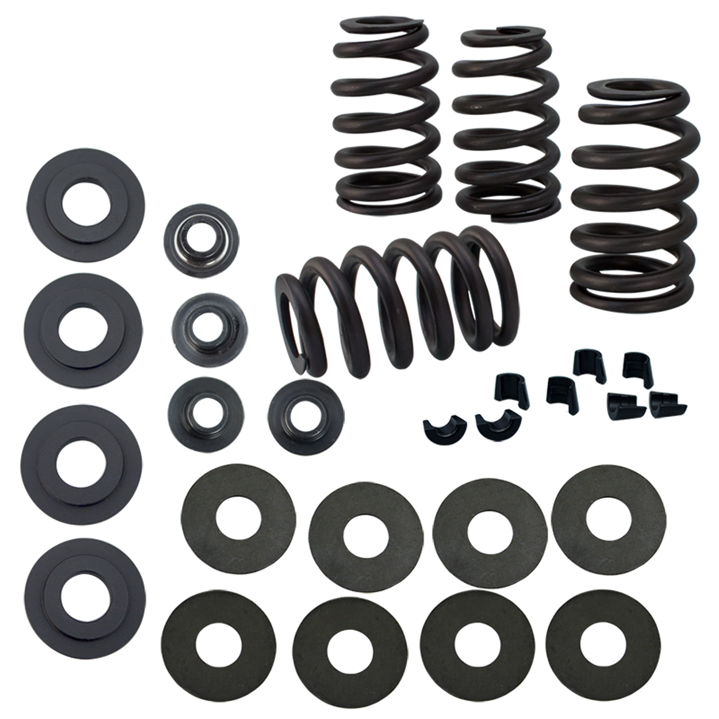 Valvespring kit .585"