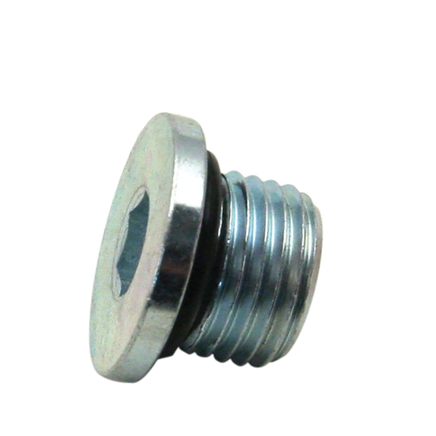 Plug,magnetic,SH 1/2-20