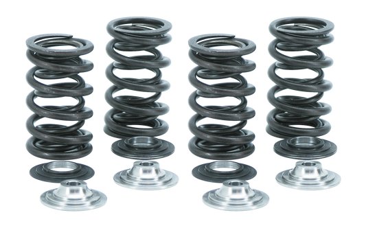 Valve Spring kit w/titan TC05-up XL04-up