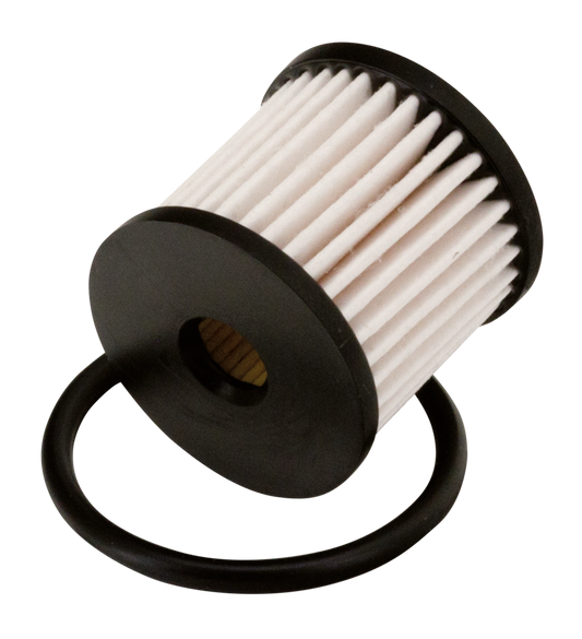 Fuel filter kit with o-ring