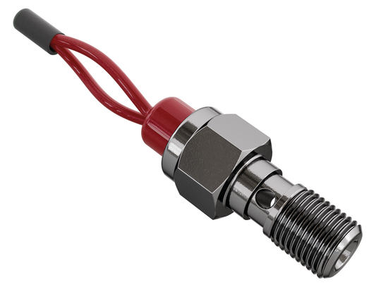 Brakelight bolt M10x1.00 Stainless steel