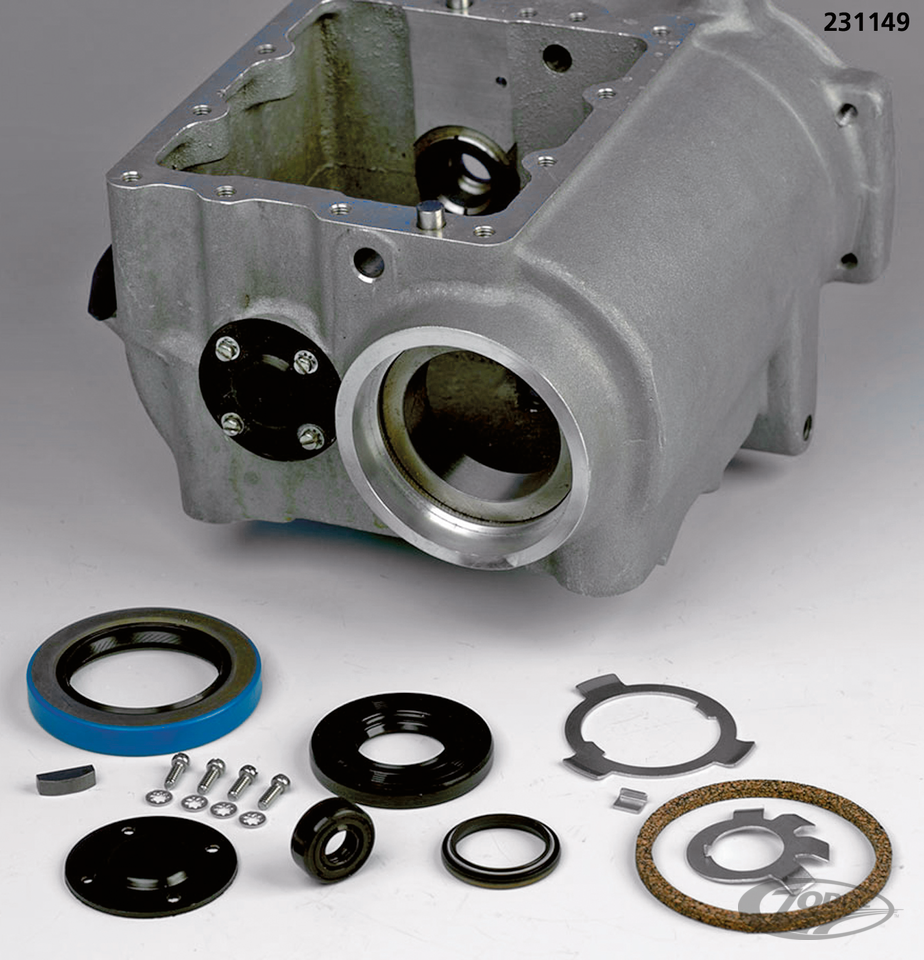 GZP Oil seal, drive gear BTl66-e81