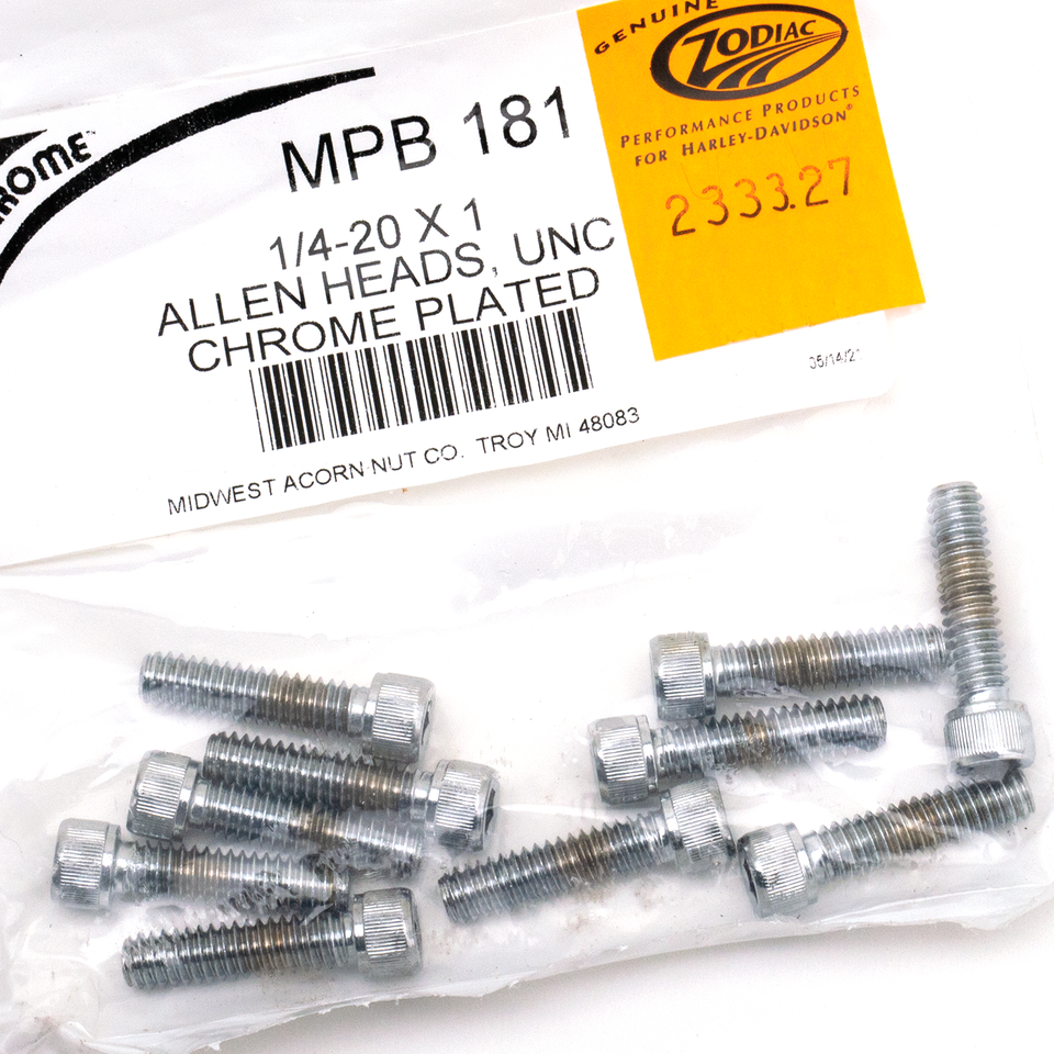 10pck Chrome allen screws 1/4-20x1