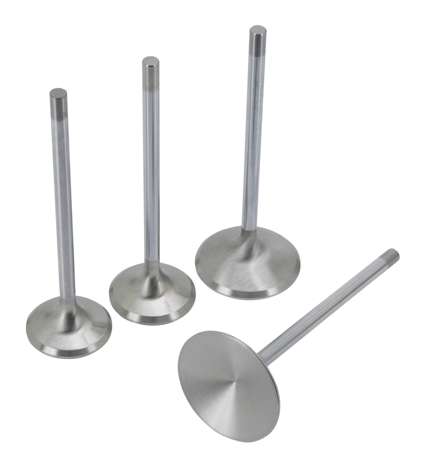 Valve EX Blank 35.4mm x 5"