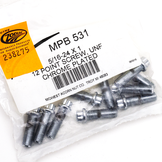 10pck 12-point screw 5/16-24x1", UNF