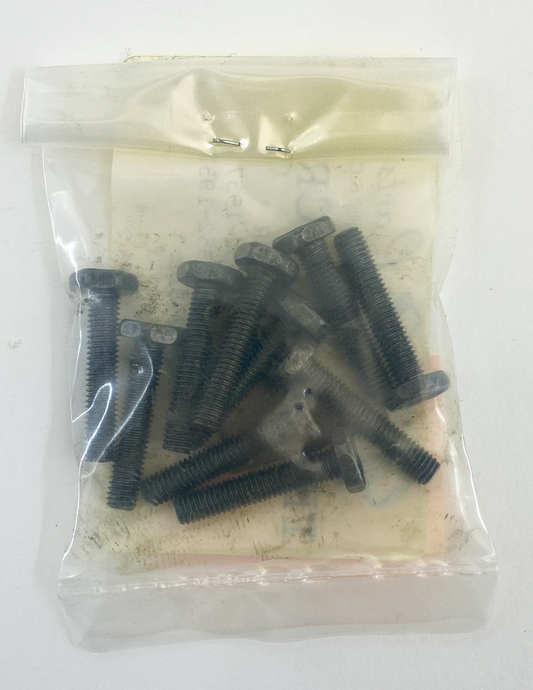 10pck Terminal screw