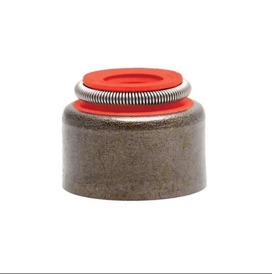 100Pck Valve guide seals viton .530"