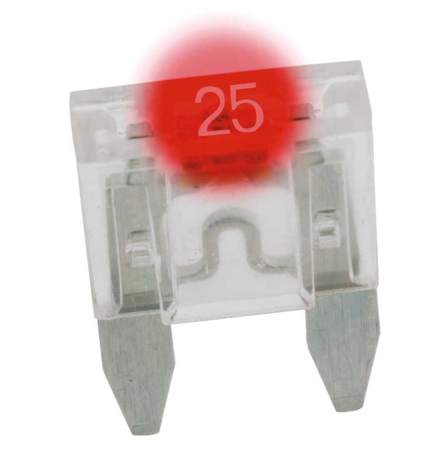 GZP 5pck Mini Led dtctr fuse Natural 25A
