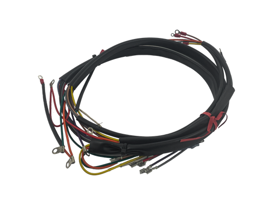 Main wire harness FL/FLH70-72
