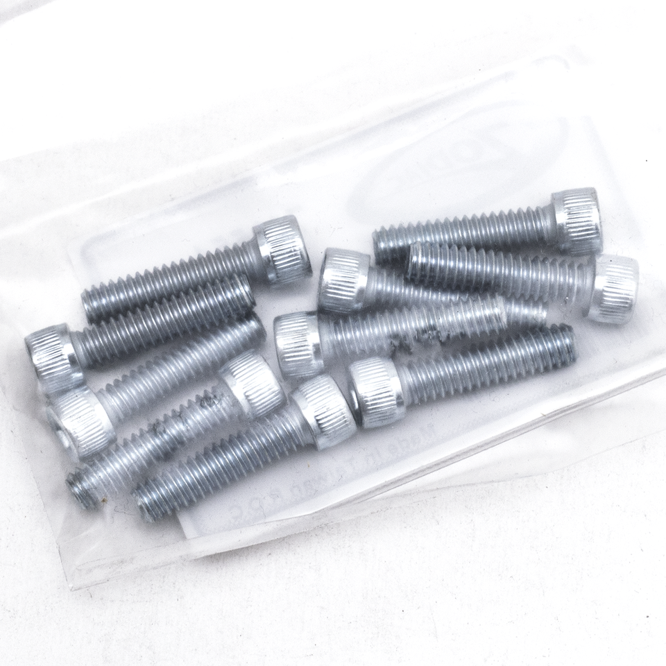 GZP 10pck allen bolt 1/4-20x1" zinc