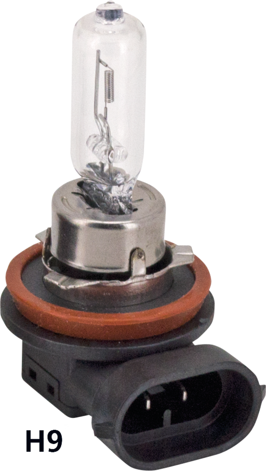 GZP 10Pck Hi beam bulb H9 12V 65W