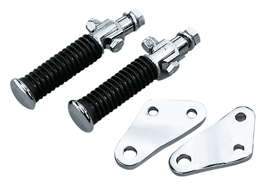 GZP Passenger pegs w/supports FX, pai