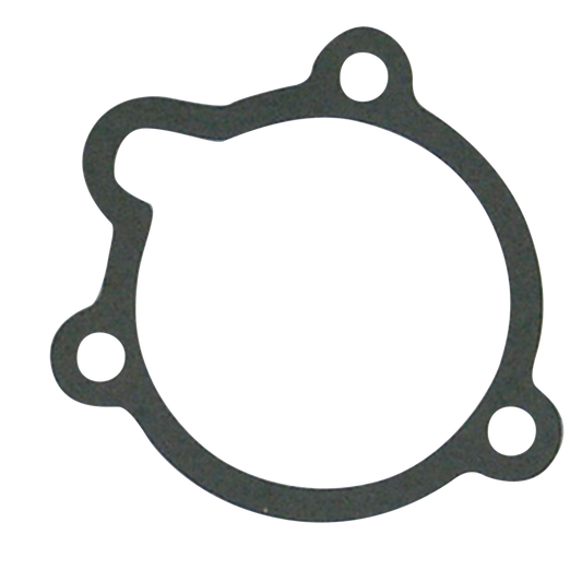 5pck Gasket Bendix to air cleaner