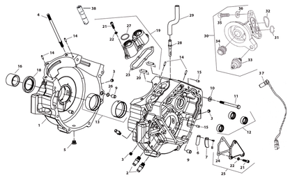 Gasket,Reed Pocket,X-Wedge