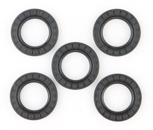 5PCK INNER CHAIN HOUSING BTl84-UP SEAL