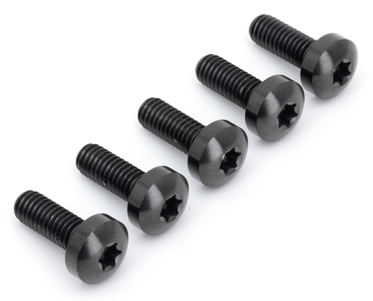 Brake Rotor FR Bolts Titanium Black