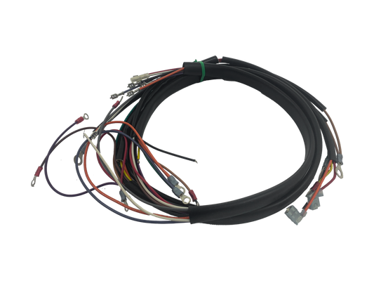 Main wire harness FL/FLH73-77