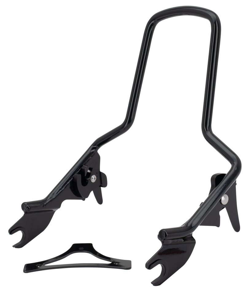 Det. Sissy Bar Standard Black FLT09-up