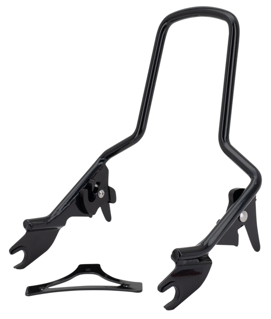 Det. Sissy Bar Standard Black FLT09-up