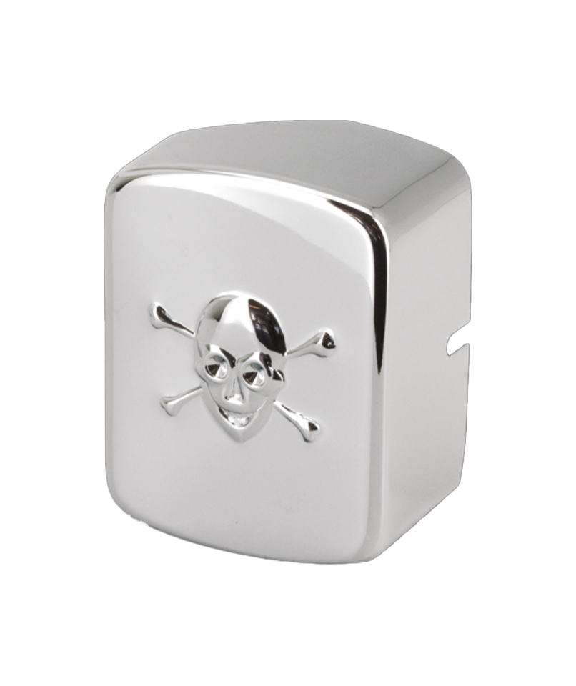 GZP Skulled Coil Cover BT65-84 F*ST84