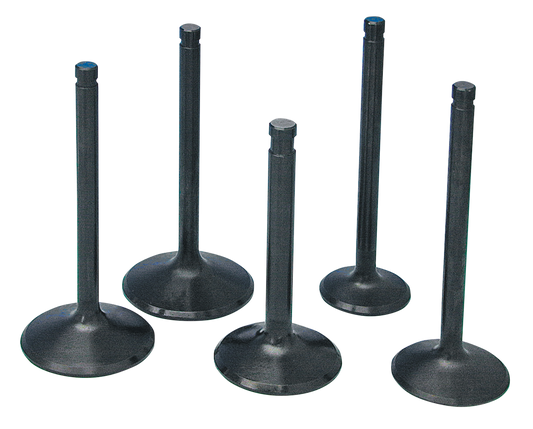 Black Diamond Valves Int. Std. TC05-up