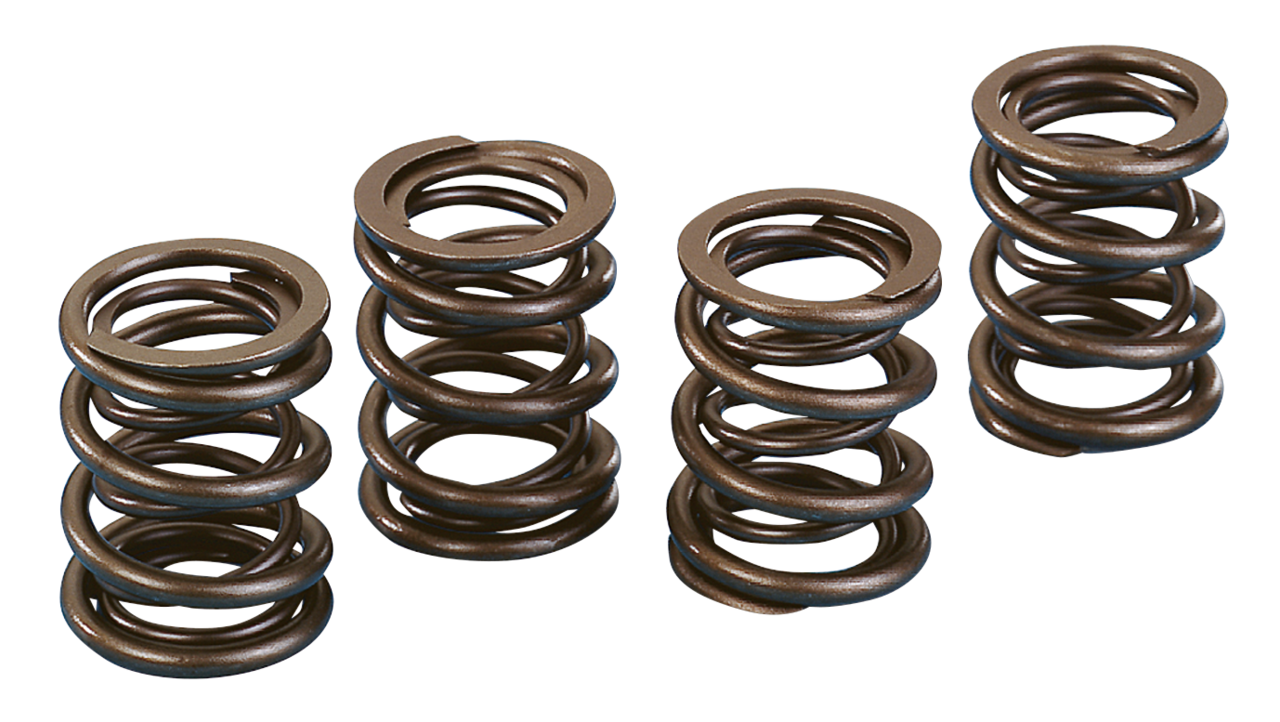KPMI max.600" lift valve springs BT66-84