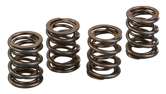 KPMI max.600" lift valve springs BT66-84