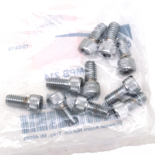 10pck Chrome allen screws 5/16-18x5/