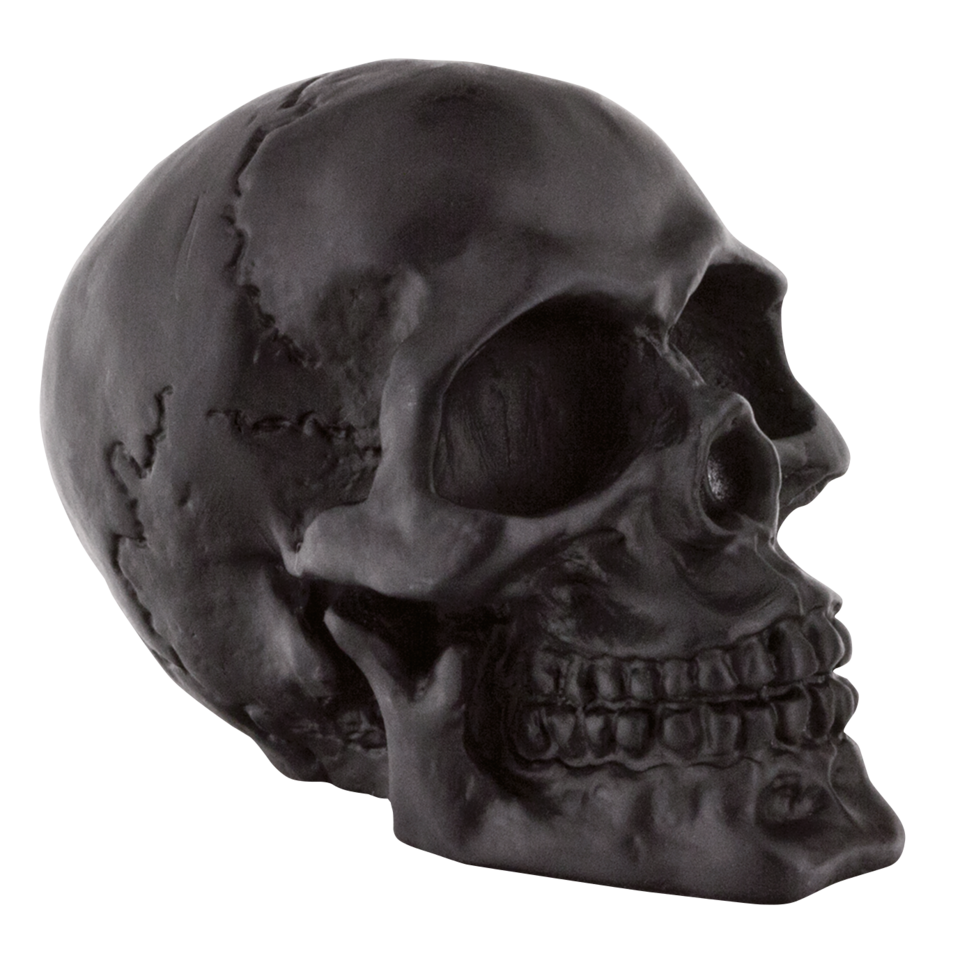 GZP Black fender mounted skull