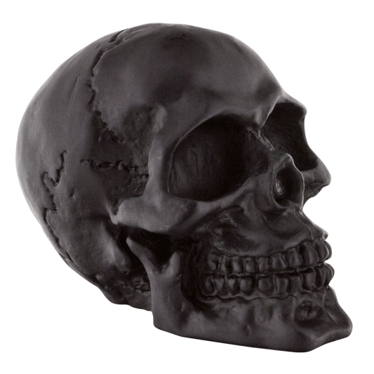GZP Black fender mounted skull