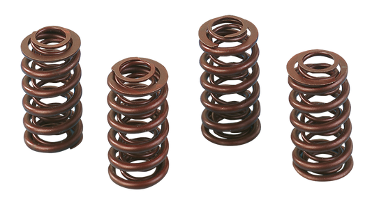 Andrews hi-lift valve springs BT84-04 XL