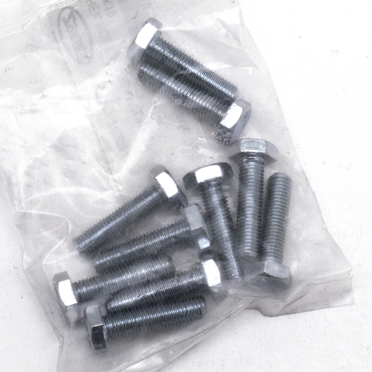 GZP 10pck hex bolt 1/4-28x1" zinc