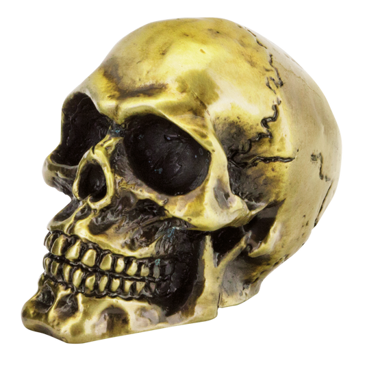 GZP Bronze fender mounted skull